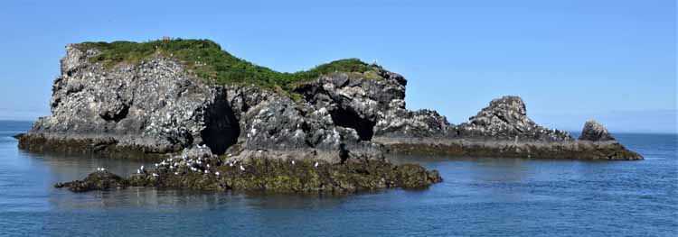 gull island